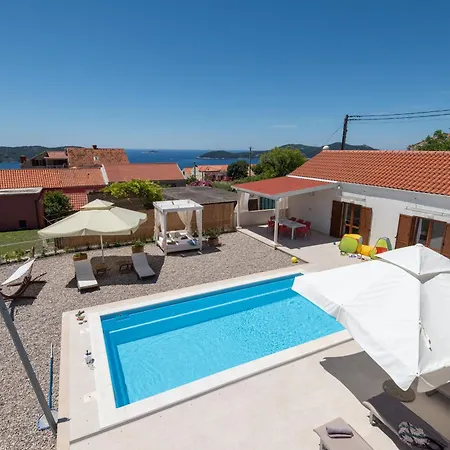 Sunny Oasis - Family Fun